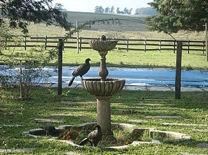 Pousada Chacara Das Roseiras Bage Bagian luar foto